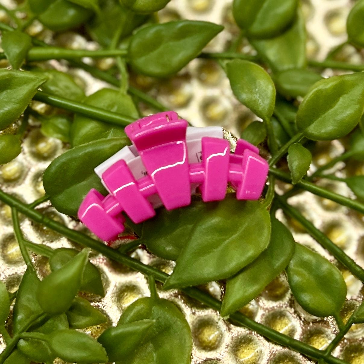 2024 Summer Edition Teleties Shabby Chic Boutique and Tanning Salon