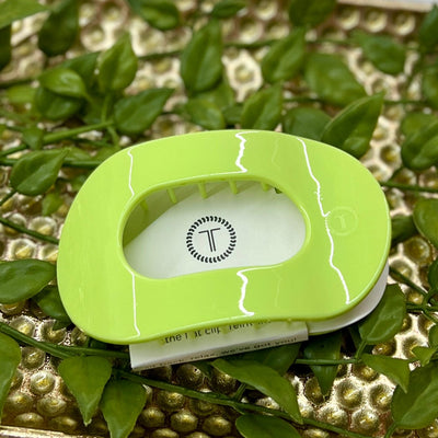 2024 Summer Edition Teleties Shabby Chic Boutique and Tanning Salon Large Flat - Aloe There!