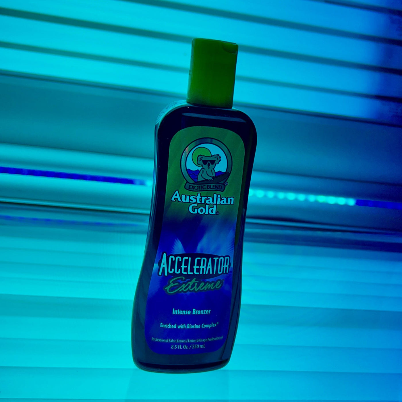 Australian Gold Accelerator Extreme Lotion 8.5oz Shabby Chic Boutique and Tanning Salon