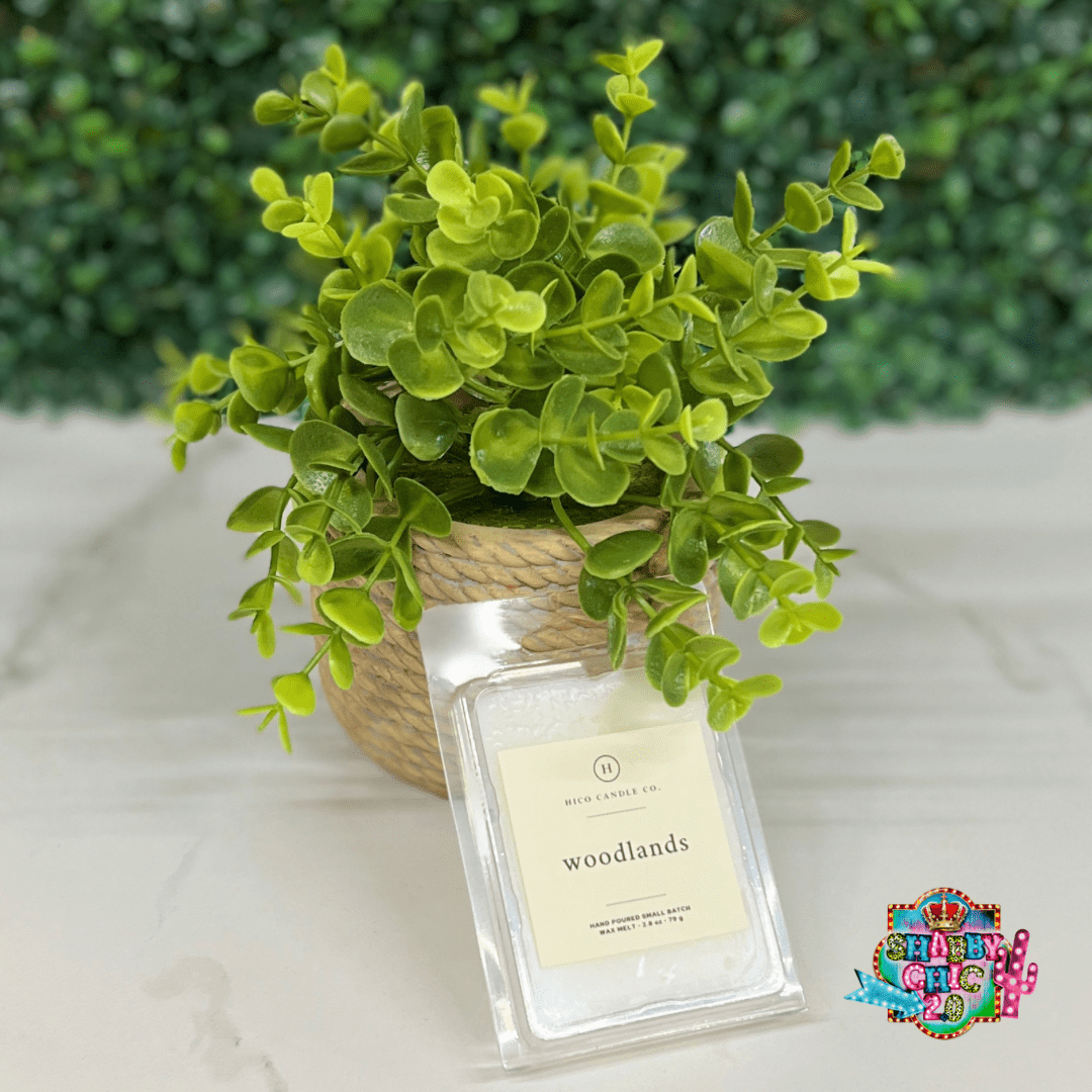 Hico Candle Company - Woodlands Shabby Chic Boutique and Tanning Salon Wax Melts
