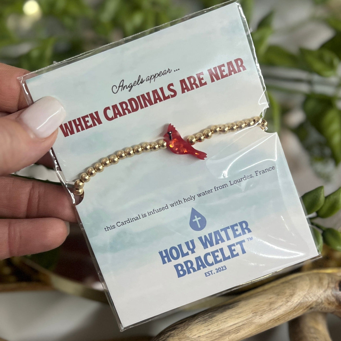 Holy Water Cardinal Bracelet Shabby Chic Boutique and Tanning Salon Gold