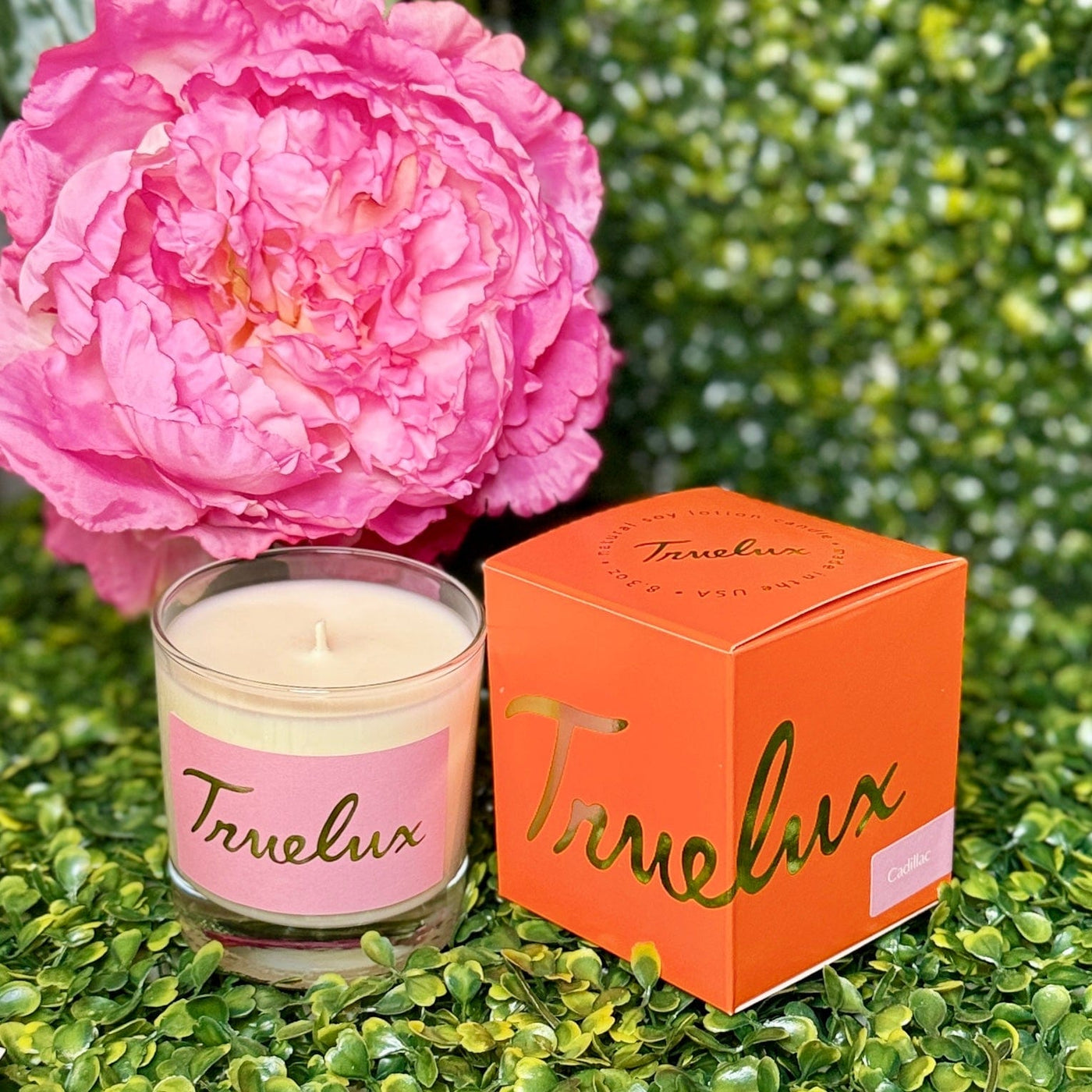 Truelux Cadillac Lotion Candle Shabby Chic Boutique and Tanning Salon