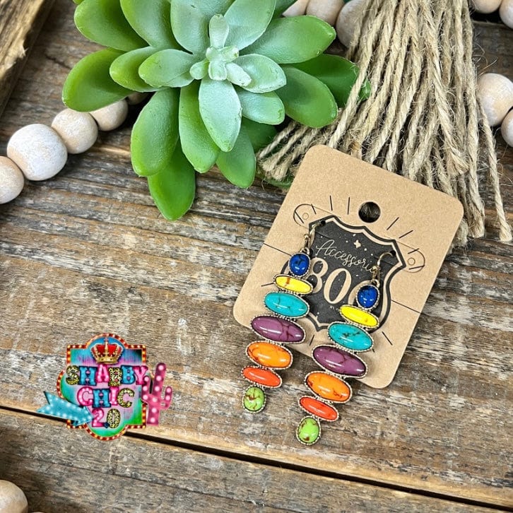 806 Multicolor Earrings Shabby Chic Boutique and Tanning Salon