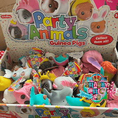 Party Animal Guinea Pigs Shabby Chic Boutique and Tanning Salon