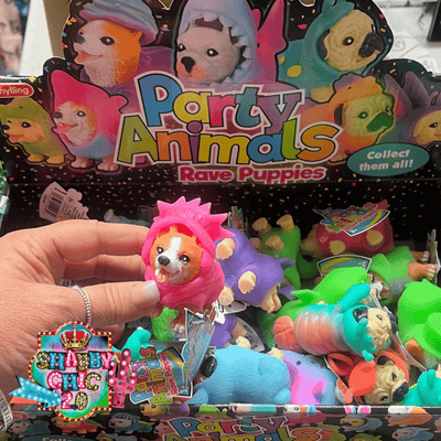 Party Animal Rave Puppies Shabby Chic Boutique and Tanning Salon