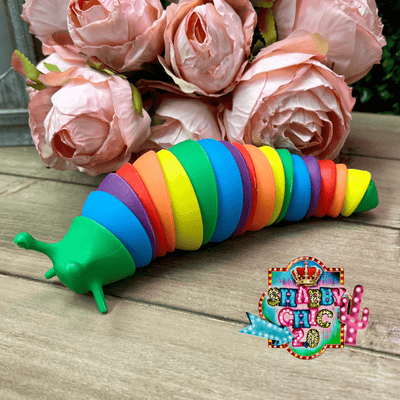 Rainbow Fidget Slug Toy Shabby Chic Boutique and Tanning Salon