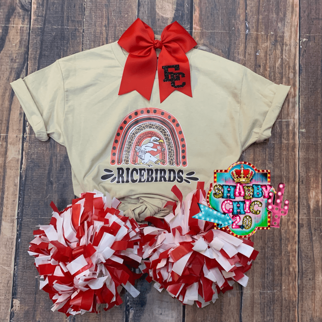Ricebirds Rainbow Tee- Youth Shabby Chic Boutique and Tanning Salon
